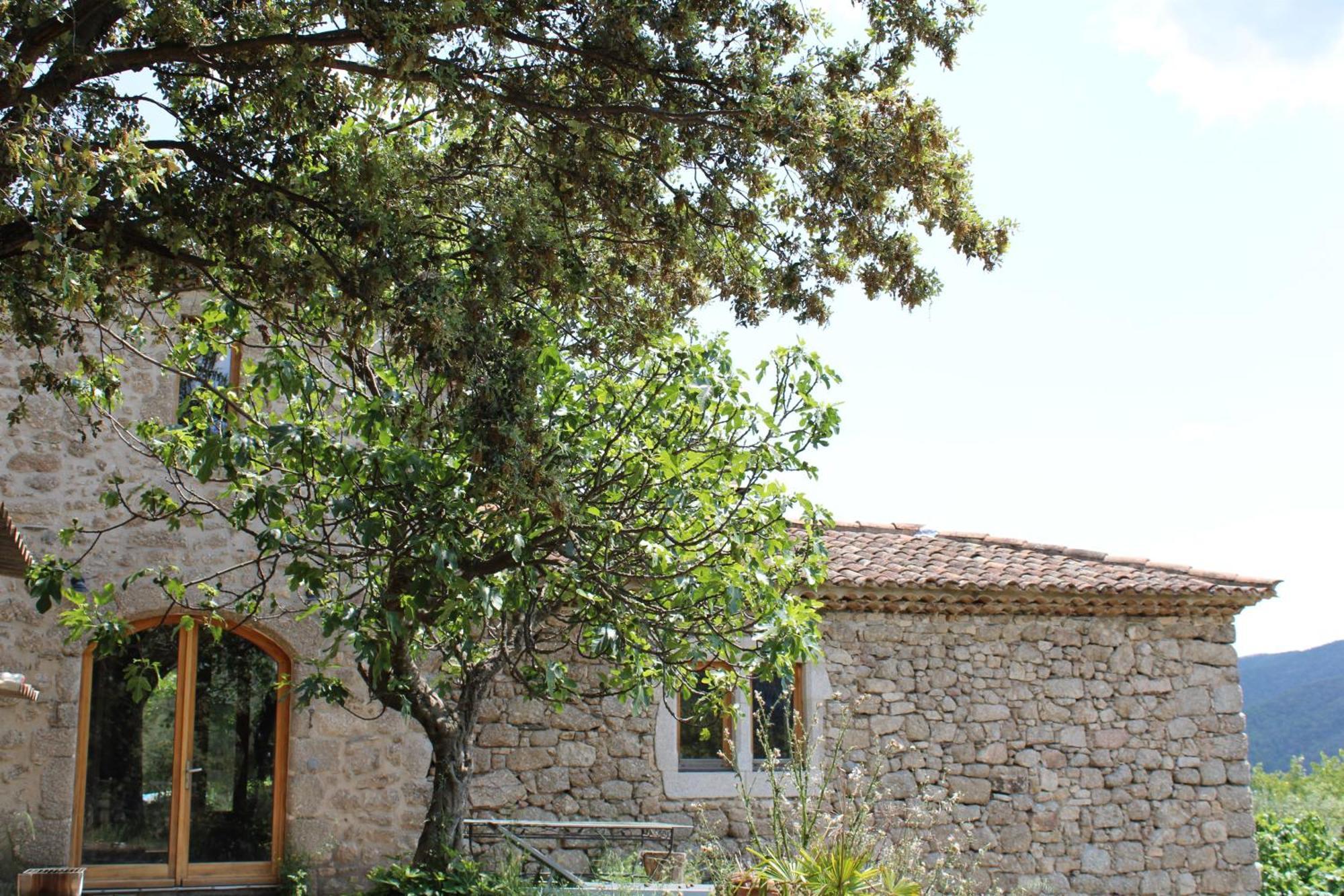 Le Puech, Chambre D'Hotes En Cevennes Saint-André-de-Majencoules Exteriér fotografie